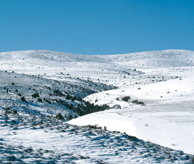 Manantiales únicos de la Sierra de nuestro entorno